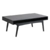 Marta Wooden 1 Shelf Coffee Table In Oak Black